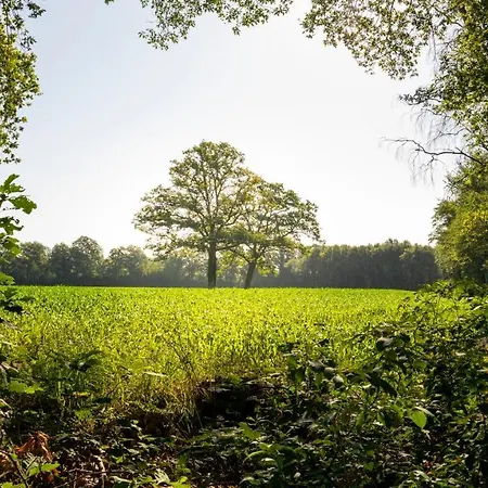 East Nomads Achterhoek * Aalten